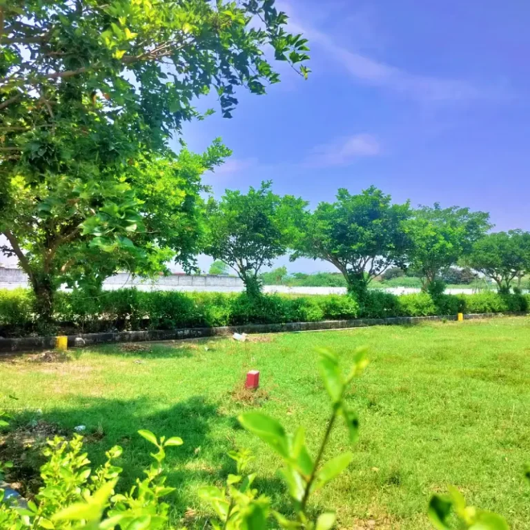 sakthivanam (3)