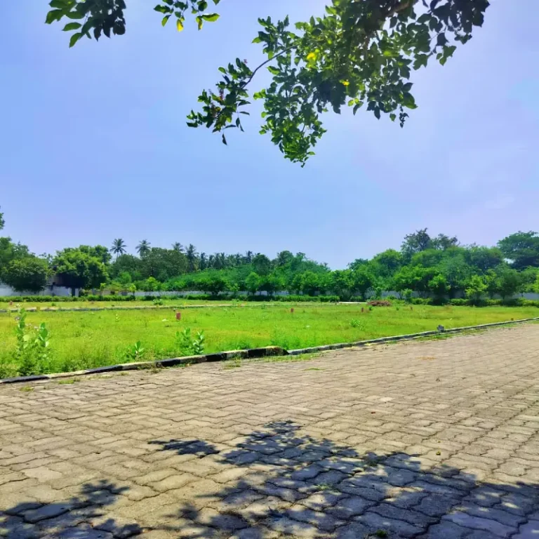 sakthivanam (7)